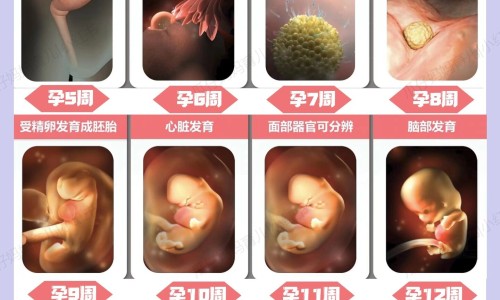 怎样知道肝功能正常不正常-怎么知道肝功能好不好-专业怎么自查肝功能是否正常平台-怎么才知道肝功能不好
